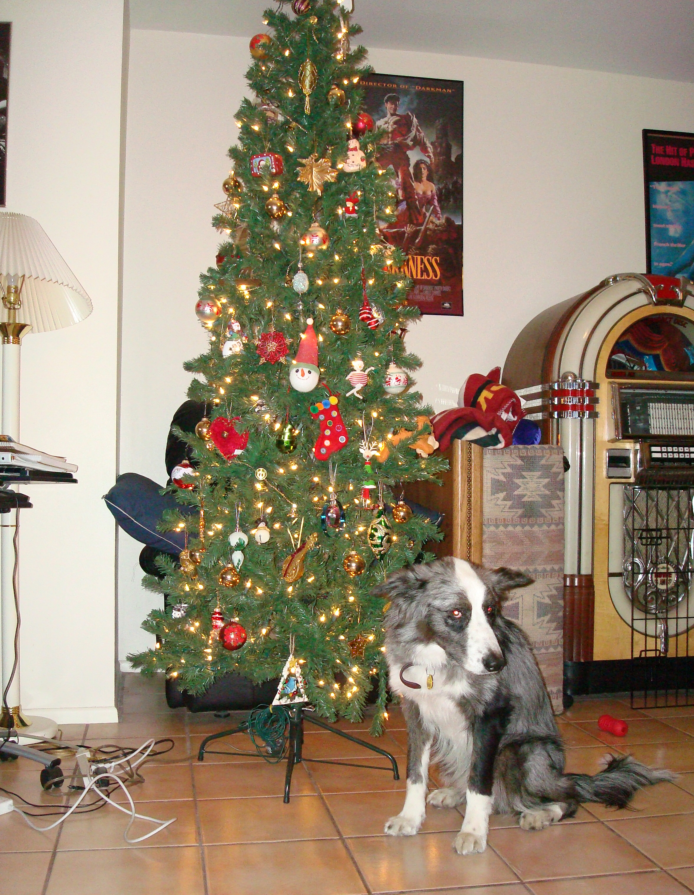 Dino&theChristmasTree20081215a