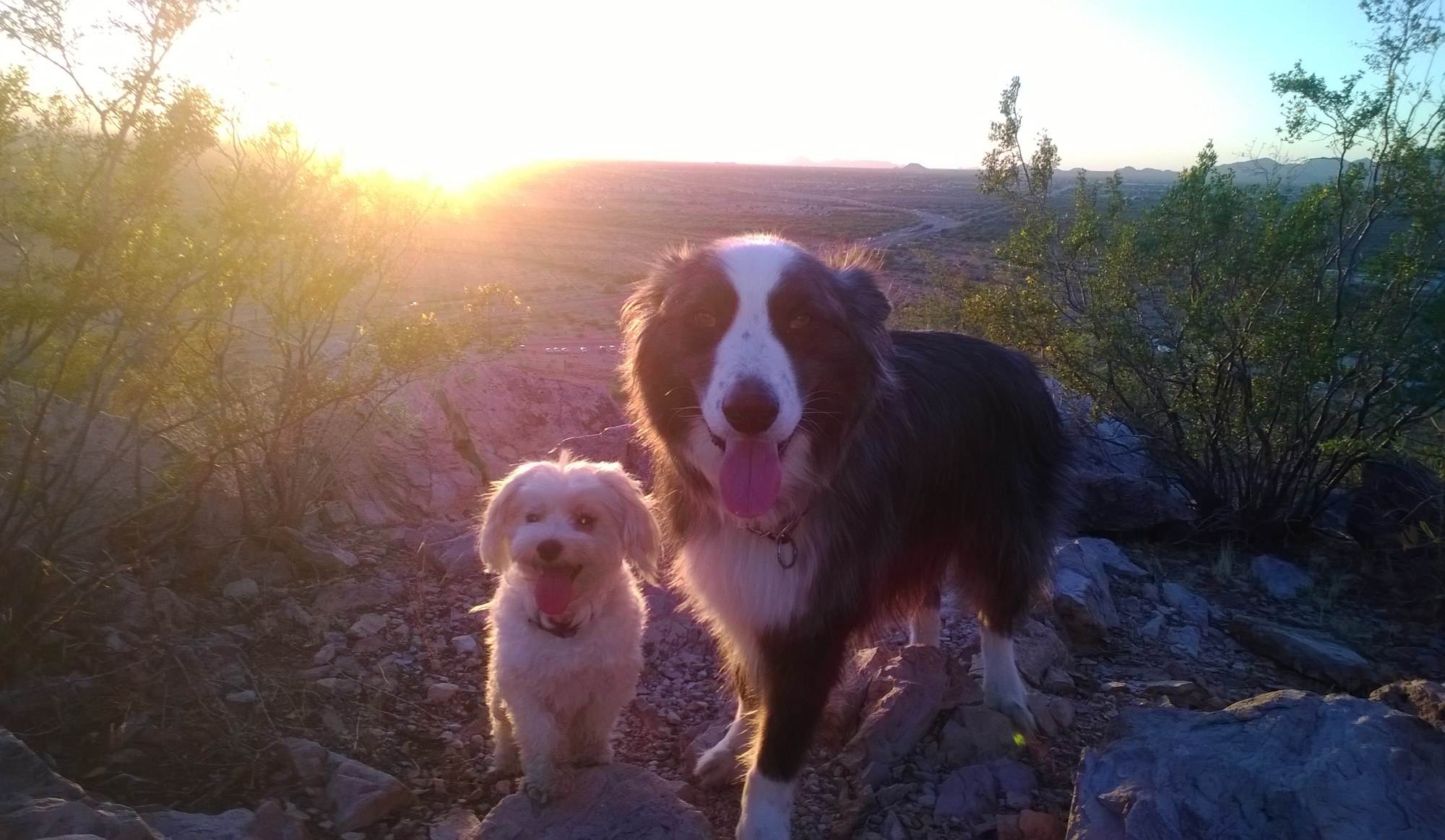DinoHarleyHiking-sept2013