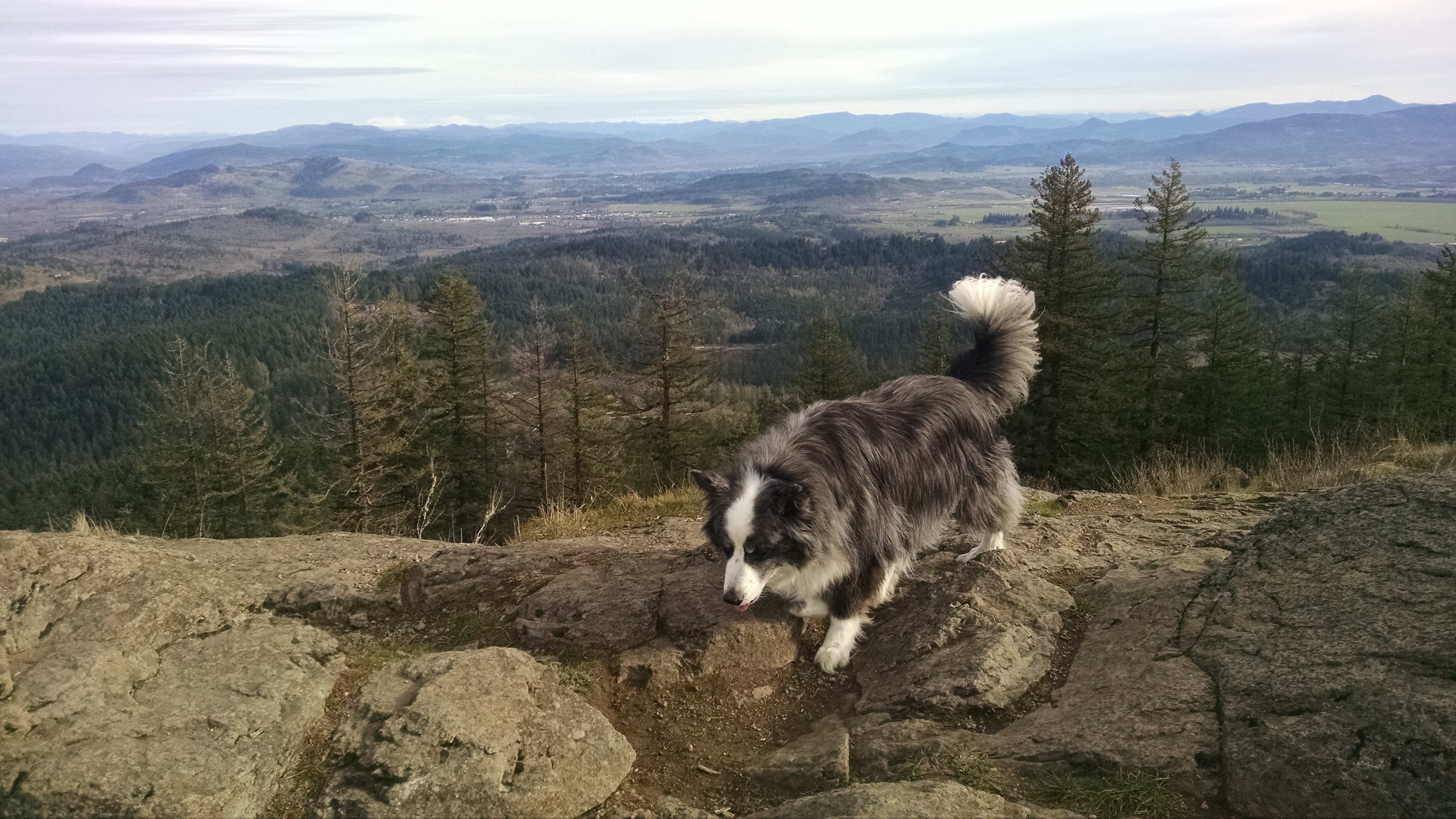 SpencersButte-dec2017-03-meDinoHarley