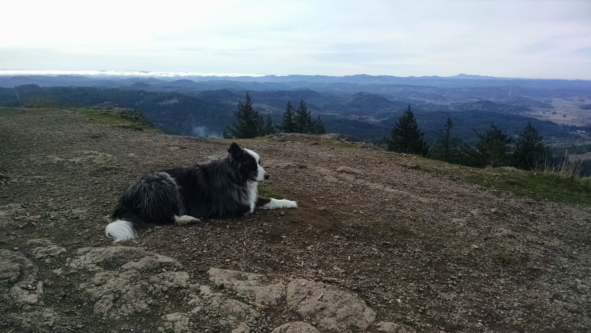 SpencersButte-dec2017-09-dino