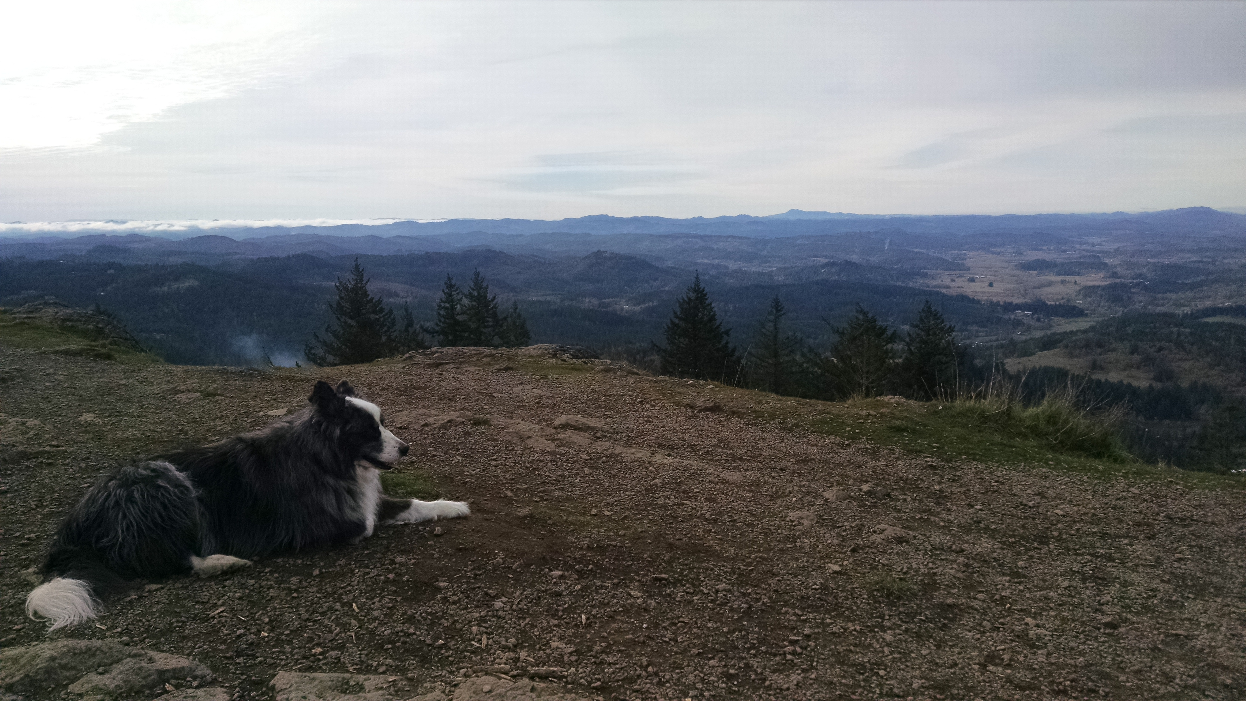 SpencersButte-dec2017-10-dino