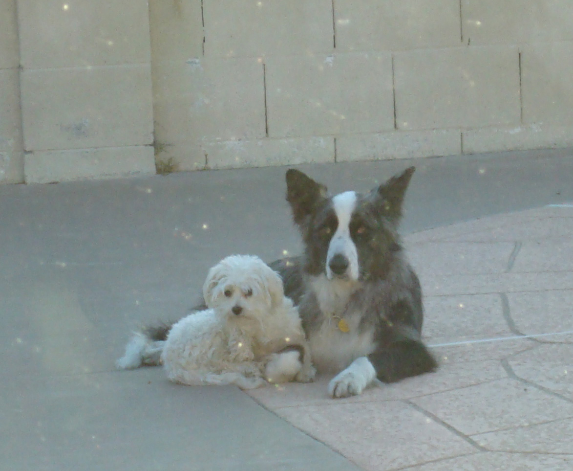 bythepool20091202