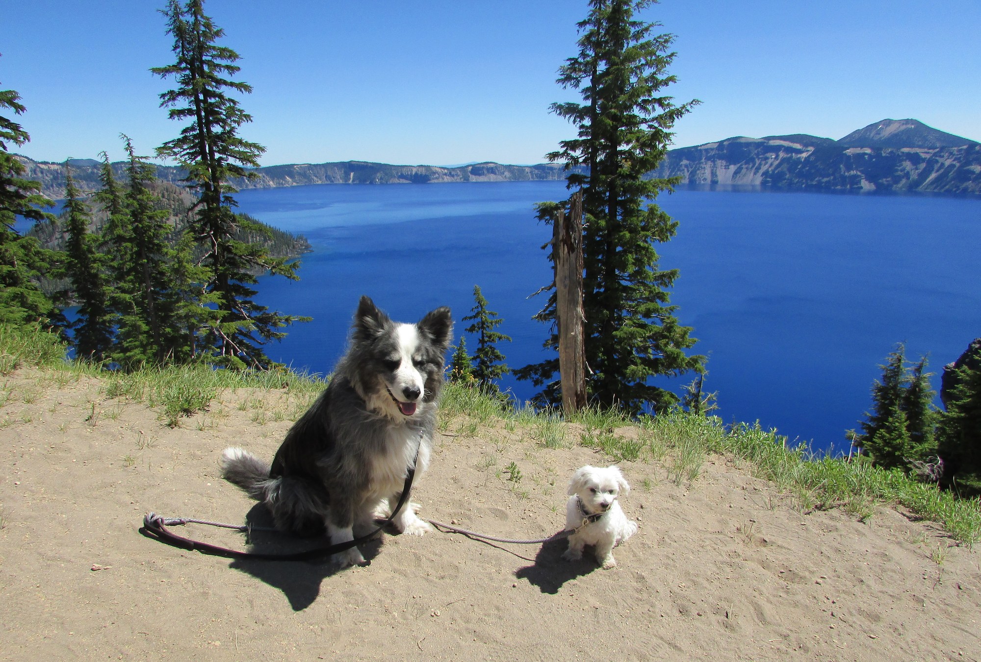 craterlake-DinoHarley-july2019b