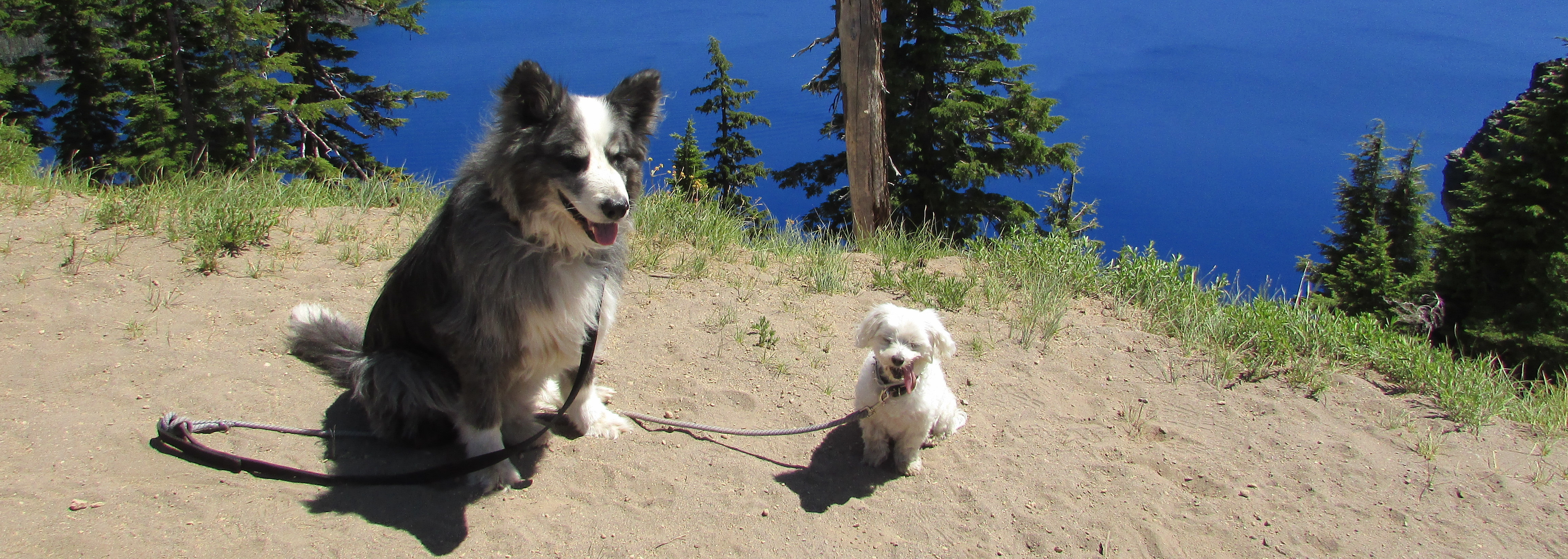 craterlake-DinoHarley-july2019d-wide