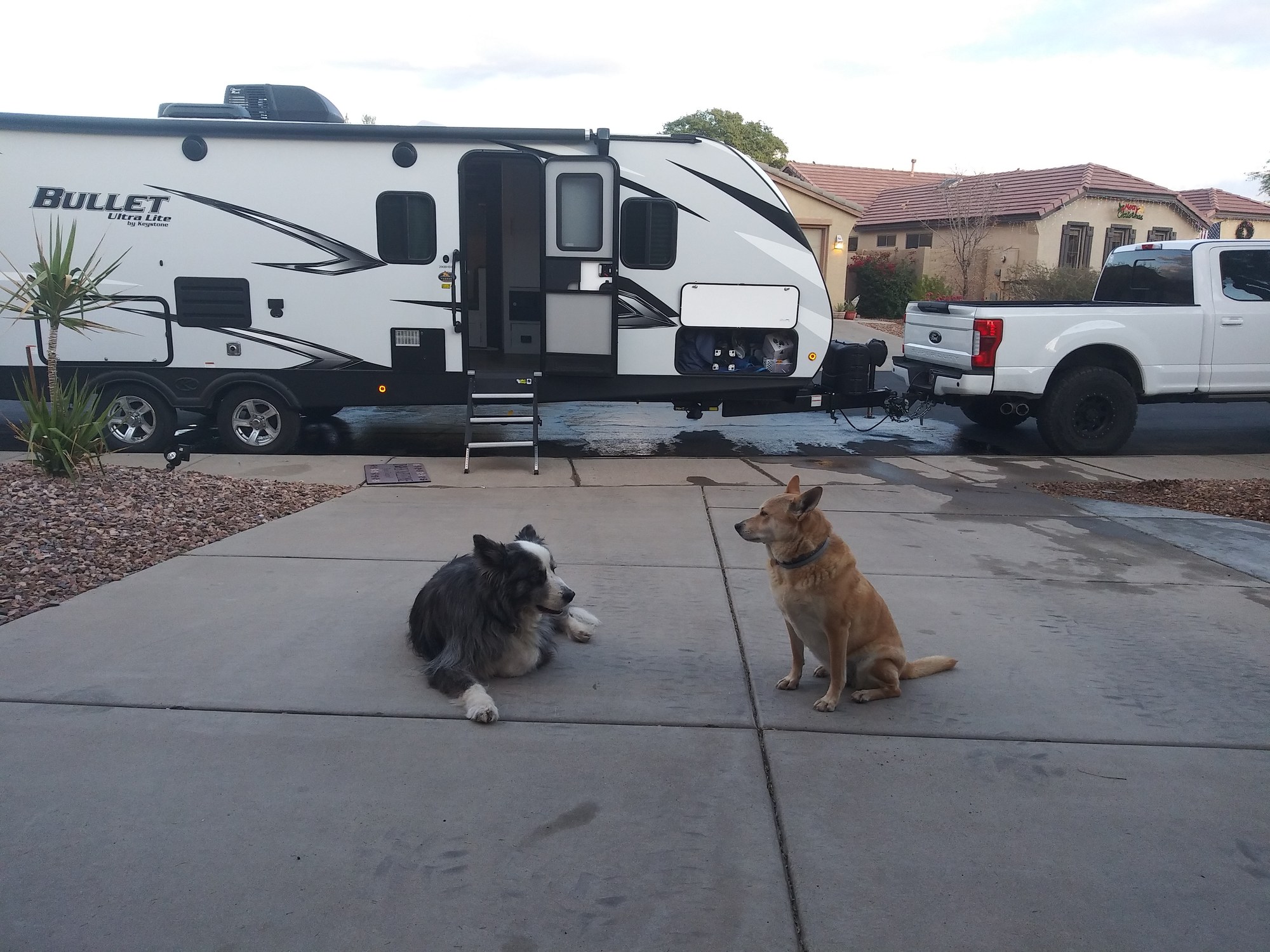 dino&bella20201229b