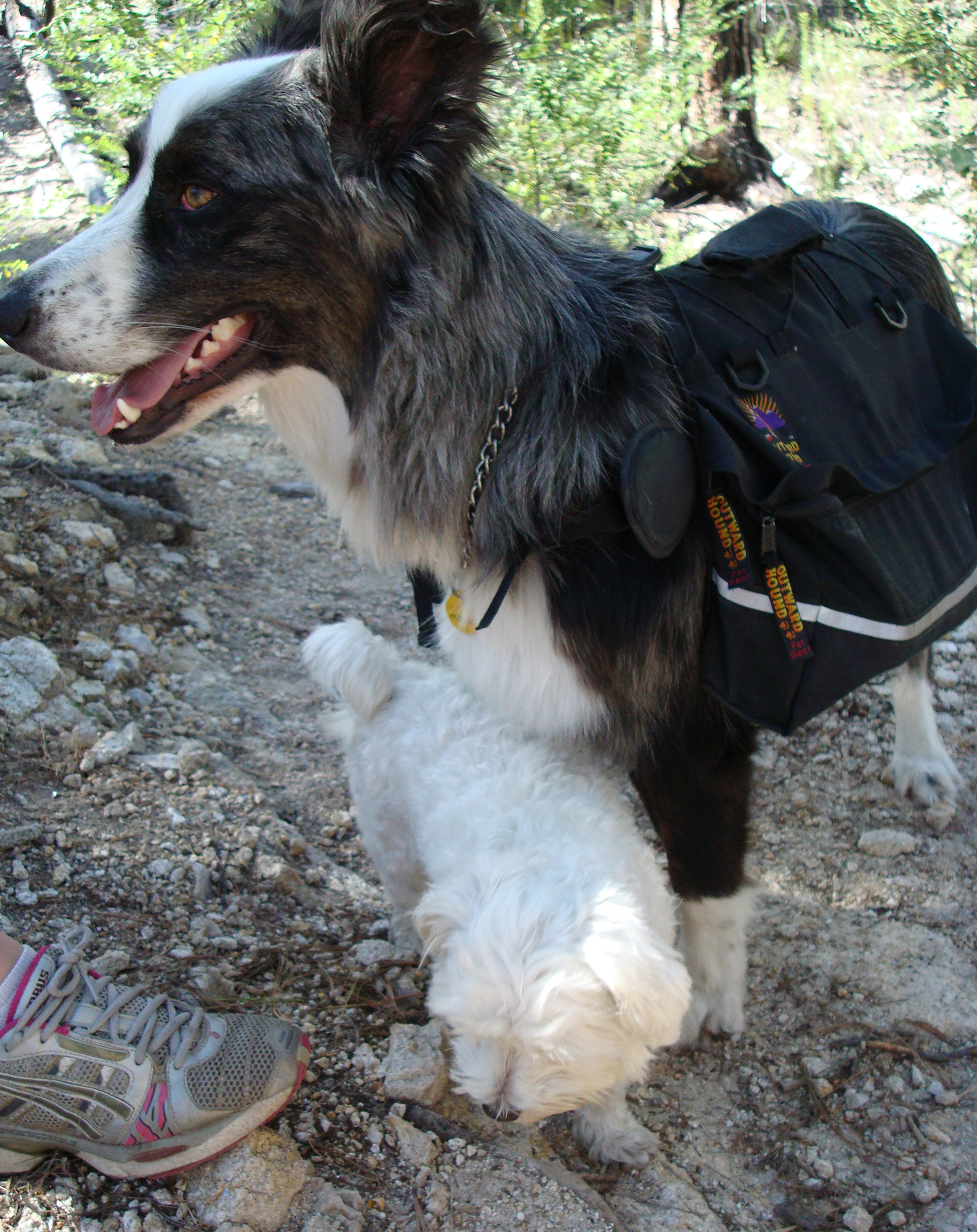 hiking-din&harley20090916a