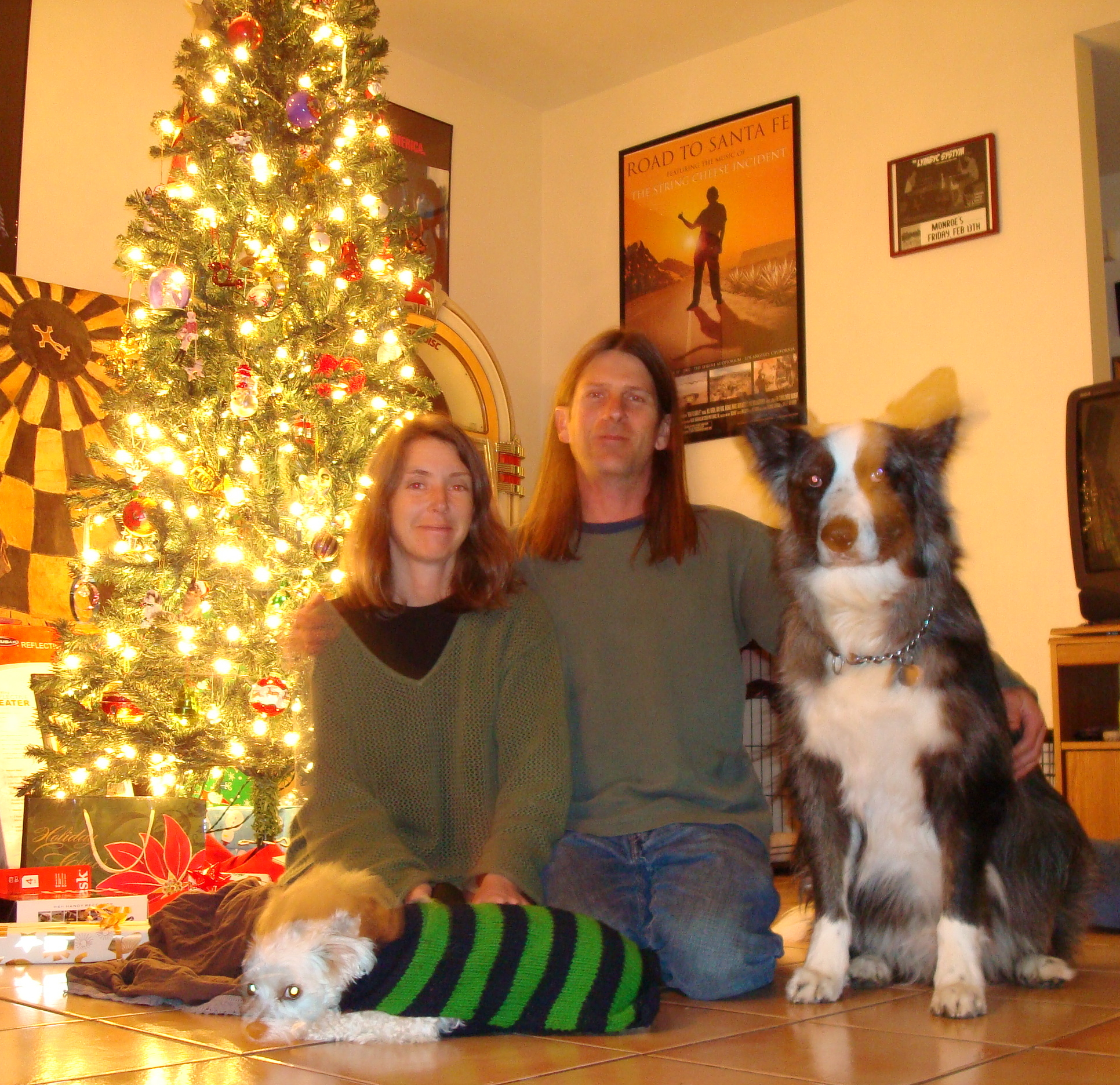 humans&dogs-christmastree2010b