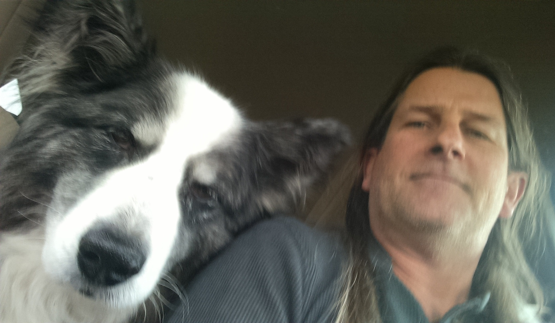 me&dino-driving-dec2019